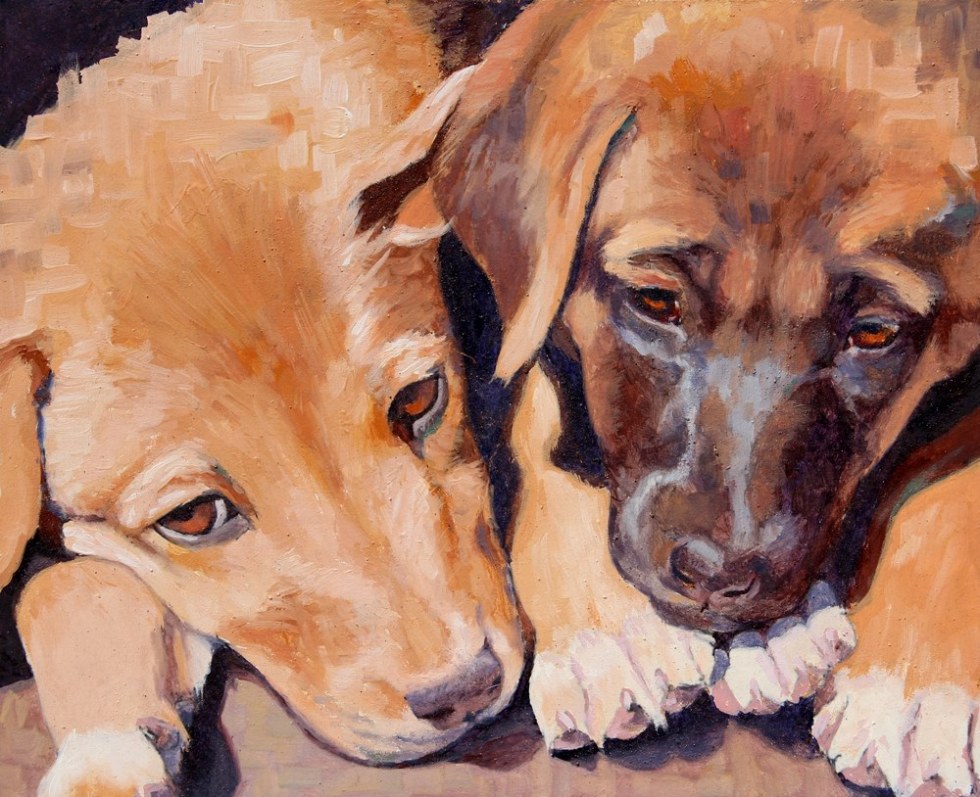 Animal Rights – Doug Weaver Art